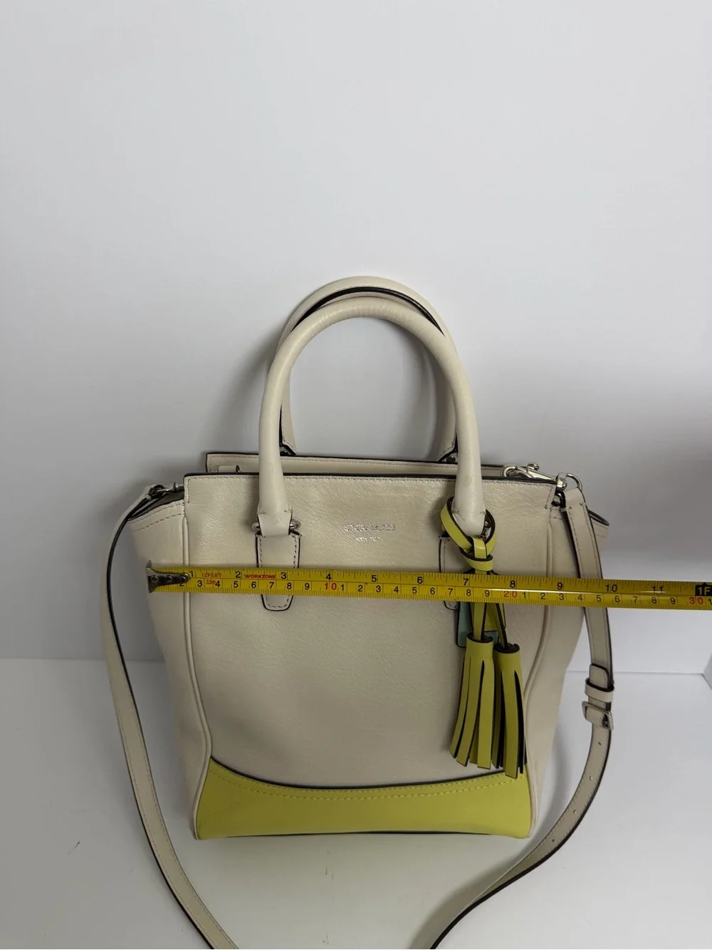 Coach Mini Tanner Leather Crossbody Satchel Bag